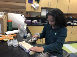 ACDS Middle School science girl working on project
